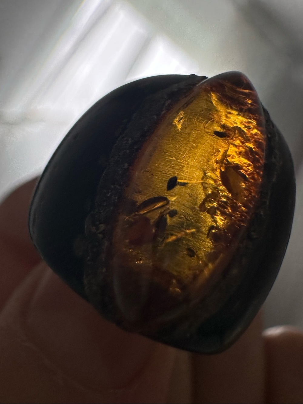 Amber ring - Picture 9 of 16